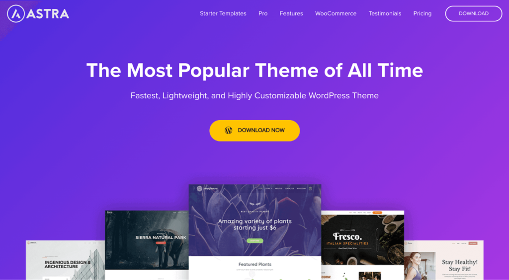 astra fast wordpress theme