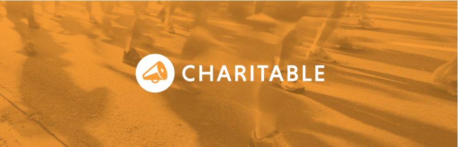 charitable wordpress donation plugin