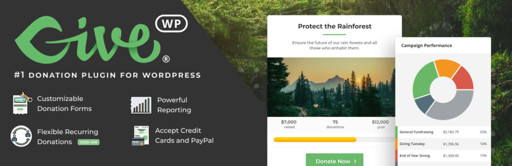 GiveWP WordPress Plugin for Nonprofits