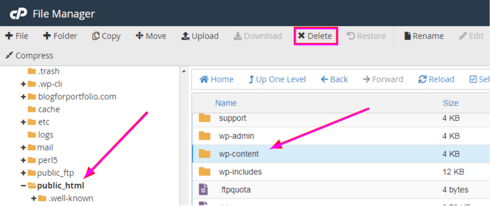 deleting wordpress files from cpanel file manager