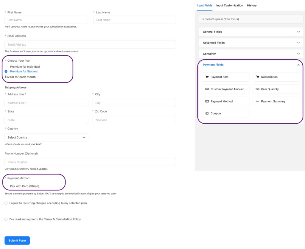 fluentforms payment forms for online subscription