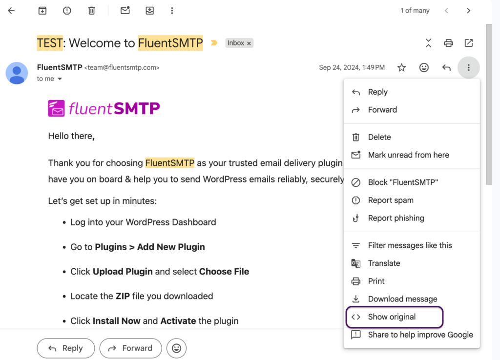 Email from FluentSMTP showing 'Show original' menu option.