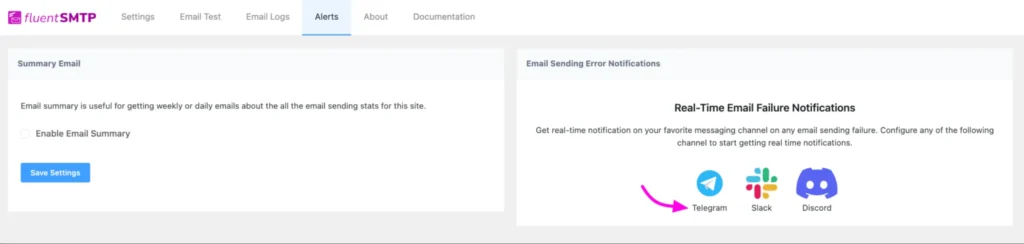 FluentSMTP Alerts screen showing email summary and error notifications.